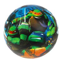 Мяч пвх 23 см черепашки-ниндзя полноцвет, в сетке ИГРАЕМ ВМЕСТЕ в кор.144шт FD-9(TMNT)